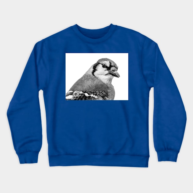 Blue Jay Crewneck Sweatshirt by PhoToddGraphy